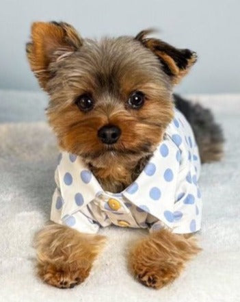 Cleo Baby Blue Polka Dot Dog Shirt