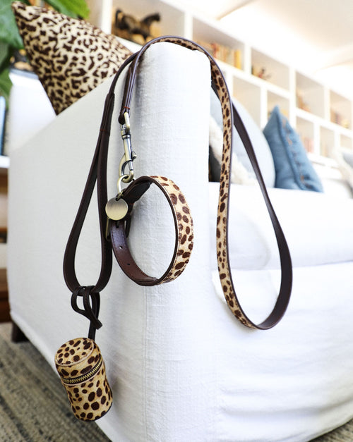 Stylish and practical brown spotted leash with waste bag set, designed for walks with medium-sized dogs like Cocker Spaniels.