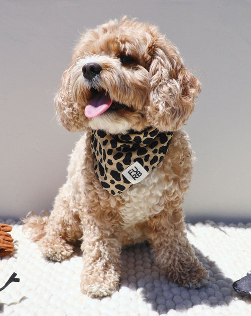 Hemlock Leopard Bandana Product Image