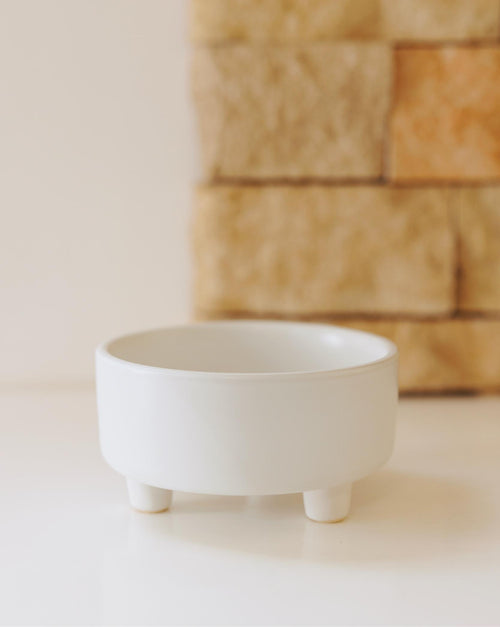 Treat Yourself White Ceramic Dog Bowl