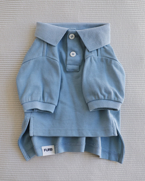 Baby blue polo on ivory corduroy background for chihuahuas