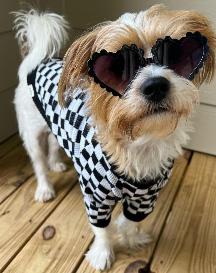 Arlo Black Check Dog Sweater