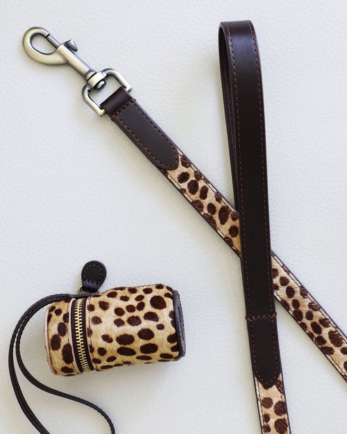 Brown spotted leash and waste bag set, perfect for easy walks with small to medium-sized dogs like Cocker Spaniels and Beagles.