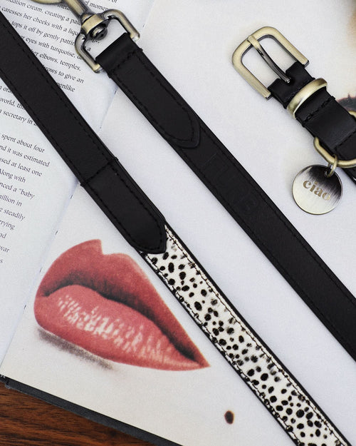 Black spotted dog collar and matching leash, designed for comfort and control, perfect for dogs like Pugs and Beagles.