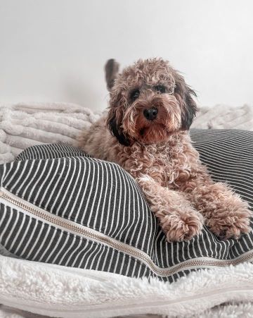 Hello Sailor Black Striped Bed Product Image Detail