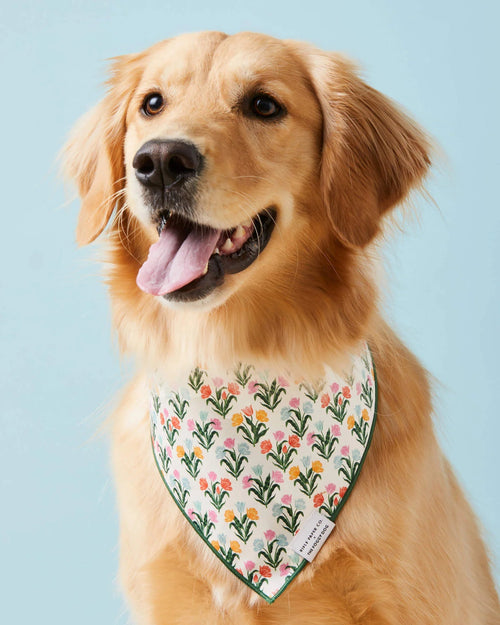 Vibrant tulip dog bandana, perfect for adding a touch of color to your dog’s wardrobe