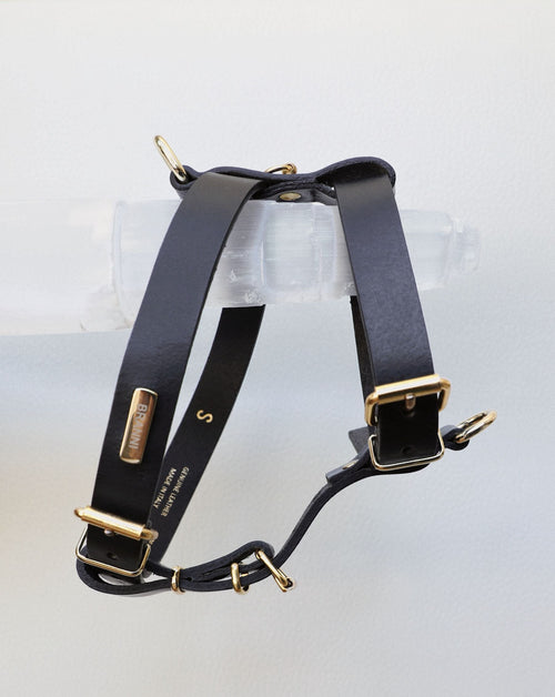 Palermo Black Leather Dog Harness Image