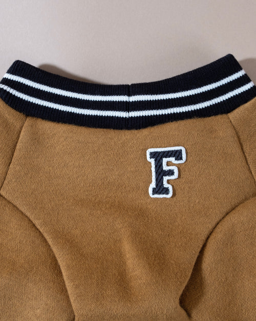 Warm brown dog sweater with varsity letters, great for stylish pups like Pugs and Dachshunds