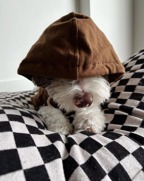 Ziggy Coffee Hoodie Product Image. Great hoodie for corgis 