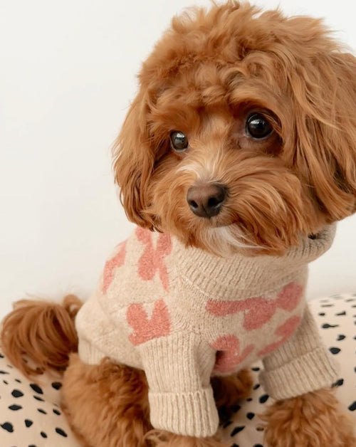 floral dog sweater. poodle sweater for dogs 
