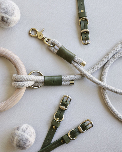 Rope leash connected to round dowel with green leather accents and gold hardware