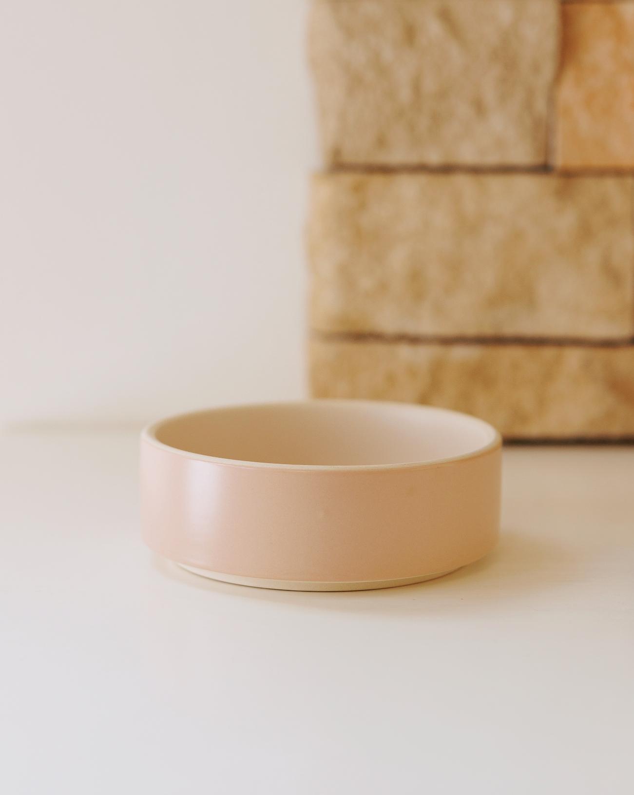 Bowled Over Modern Blush Dog Bowl