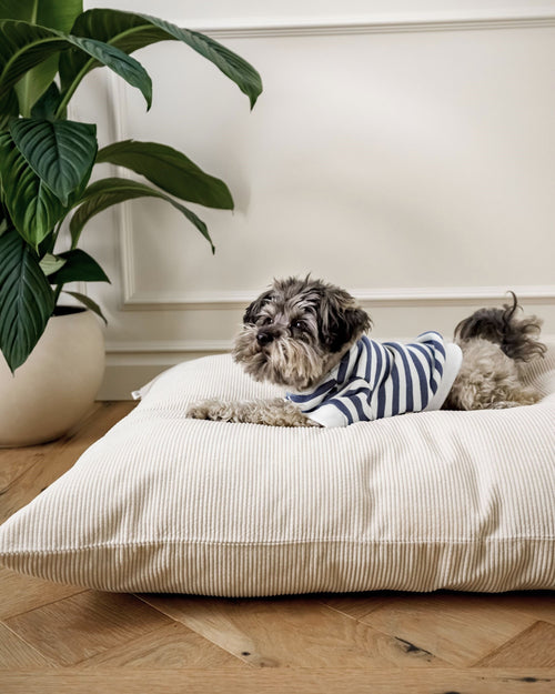 Camden Charcoal Striped Dog Sweatshirt french bulldog attire