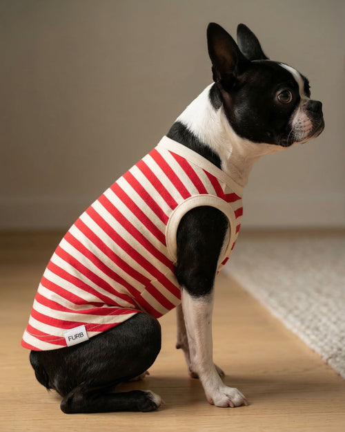 Pup Rally Red + Ivory Striped Dog Tank