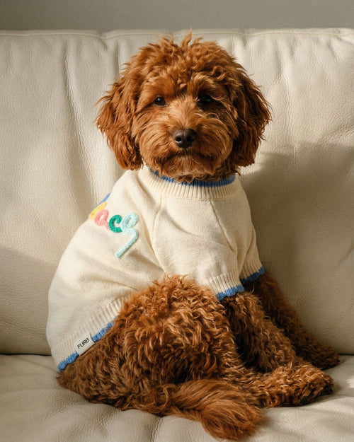Beach Bum Embroidered Dog Sweater