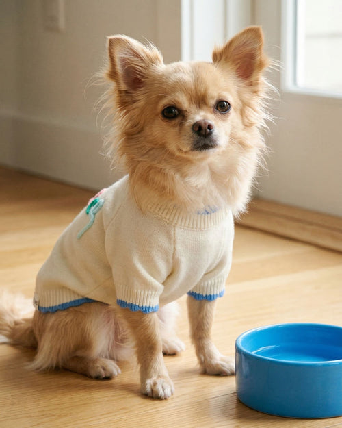 Beach Bum Embroidered Dog Sweater