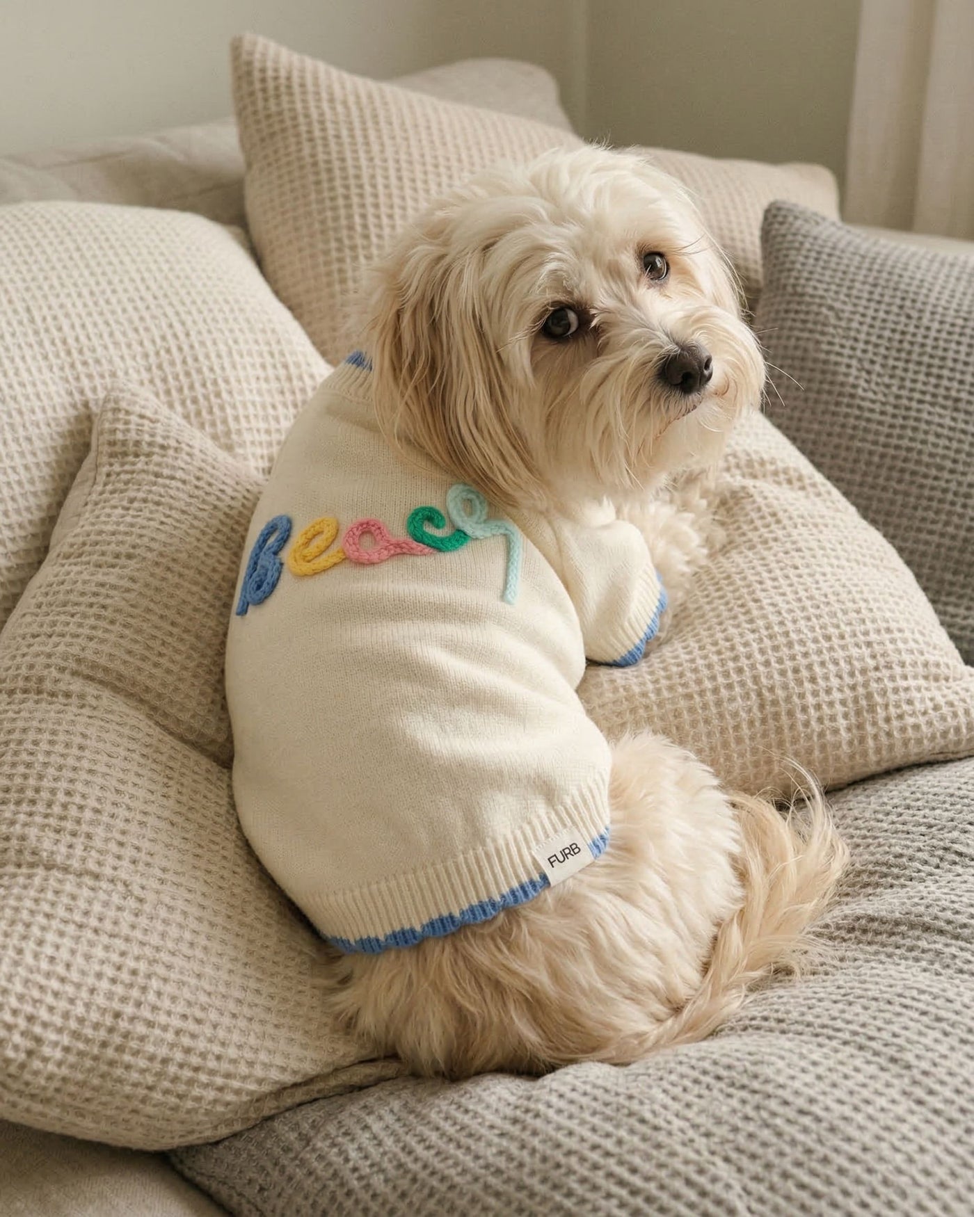 Embroidered Beach Dog Sweater – Embroidered Summer Knit for Dogs