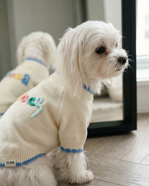 Beach Bum Embroidered Dog Sweater