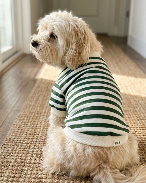 cozy striped dog sweatshirt for casual wear, breathable cotton pet apparel with modern fit