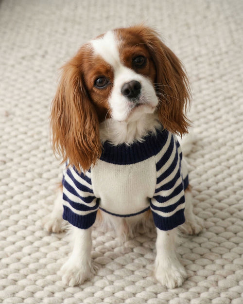 Shore Thing Lighthouse Sweater