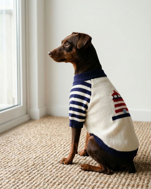 Shore Thing Lighthouse Sweater