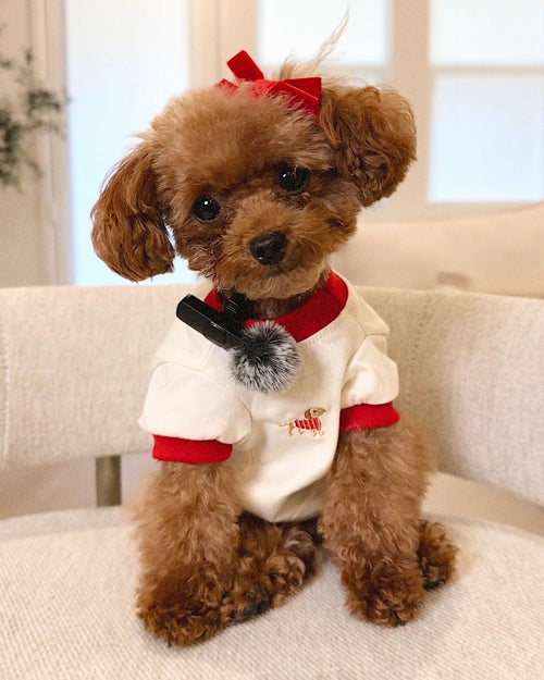 Hot Diggity Dachshund Ringer Tee