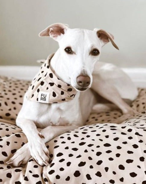 medium sized dog bed for summer