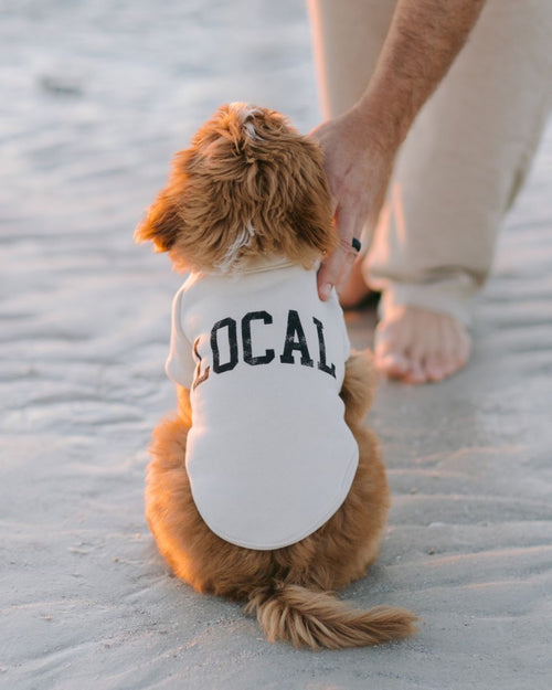 Local Legend Ivory Dog Sweatshirt