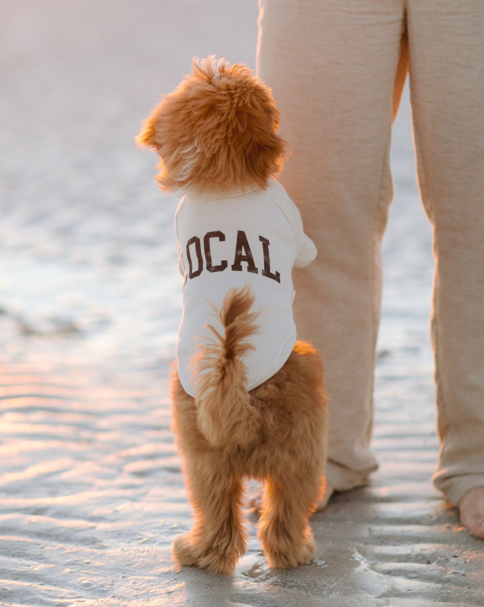 legends dog gear Local Legend Ivory Dog Sweatshirt