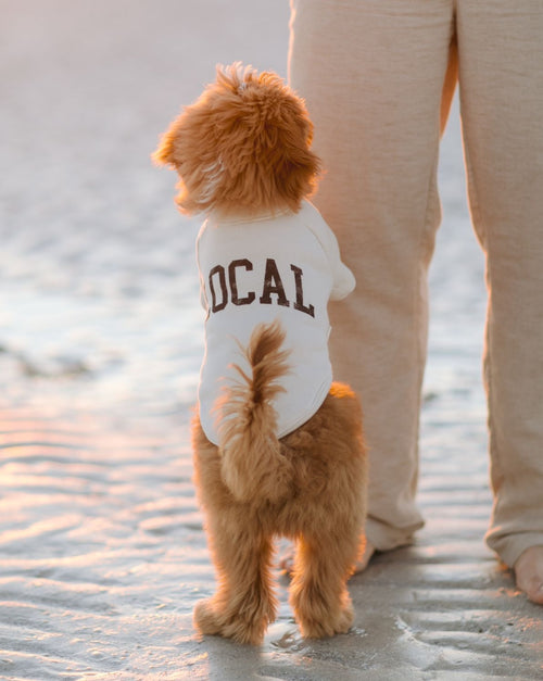 Local Legend Ivory Dog Sweatshirt