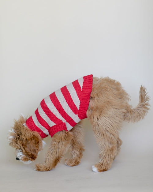 Candy Crush Red Striped Sweater Vest