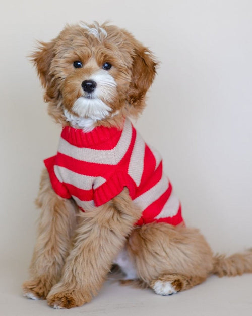 Candy Crush Red Striped Sweater Vest