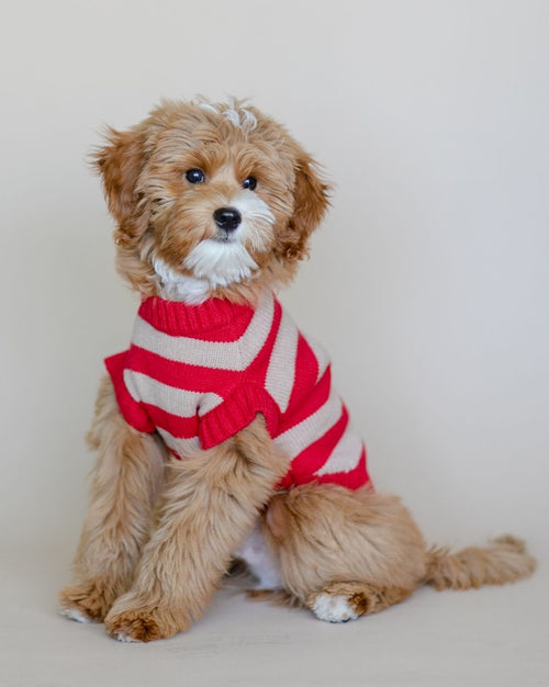 Candy Crush Red Striped Sweater Vest