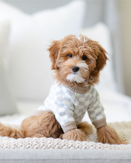 Arlo Grey Check Dog Sweater