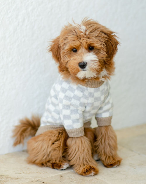 Arlo Grey Check Dog Sweater