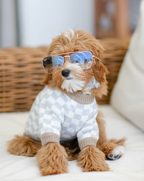 Arlo Grey Check Dog Sweater