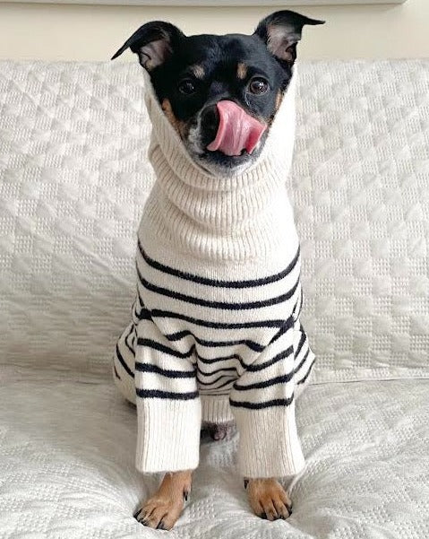 a striped dream, with a comfy ivory knit body covered in thin black stripes, and perfect ribbed ivory turtleneck with coordinating sleeves. The long turtleneck folds over as a toasty touch, and sleeves can be cuffed for a more casual vibe mini poodle clothes