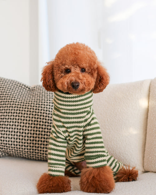 Charli Green + Ivory Dog Onesie