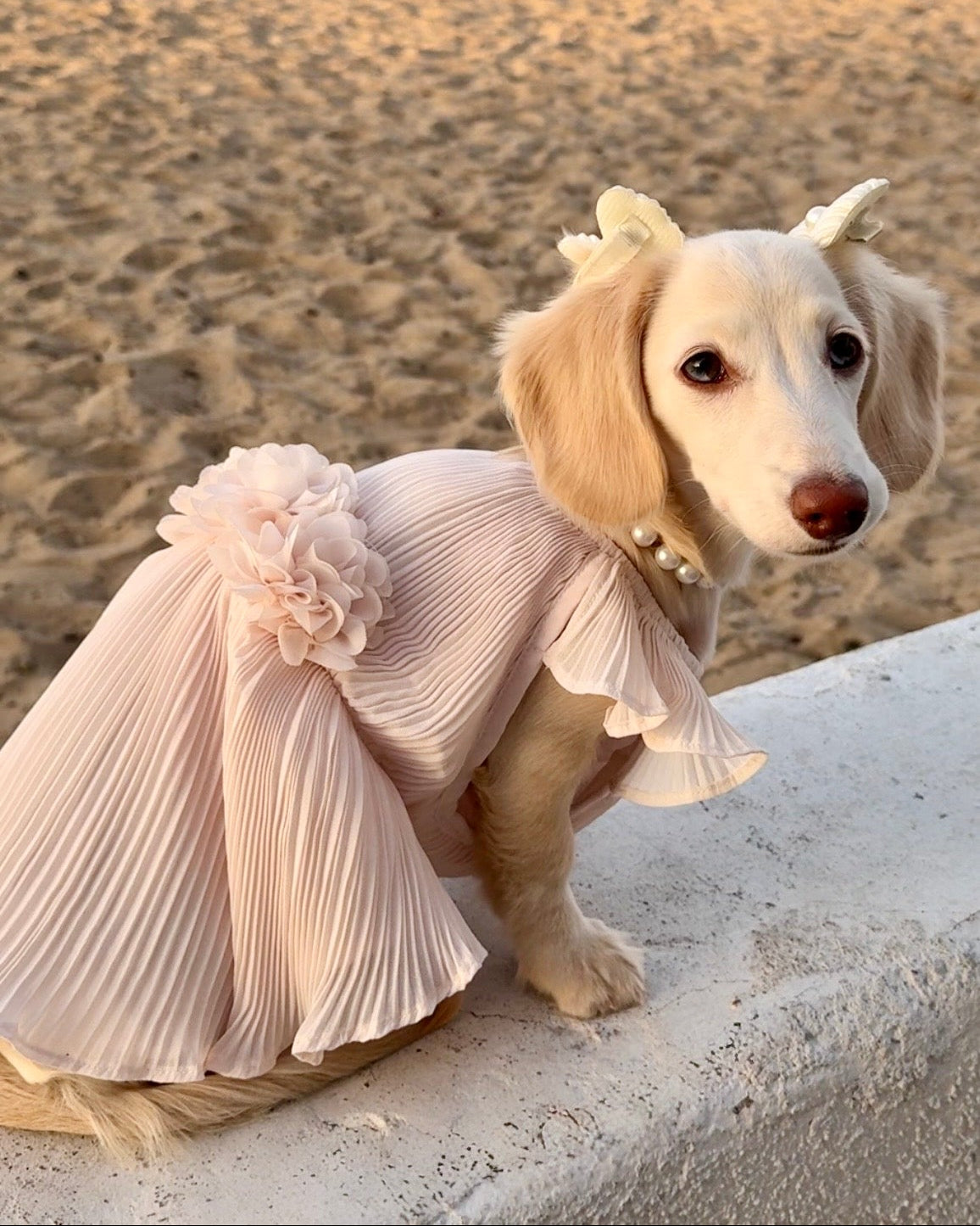 Love Story Petal Pink Pleated Chiffon Dress