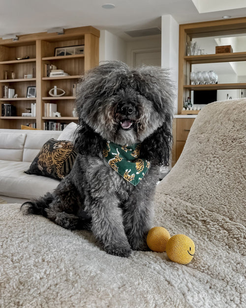 El Tigre Green Print Bandana Image