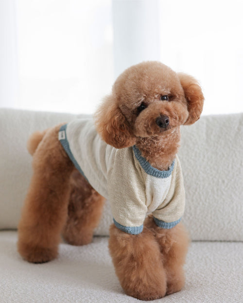 Monaco Bay Blue Colorblock Slub Sweater