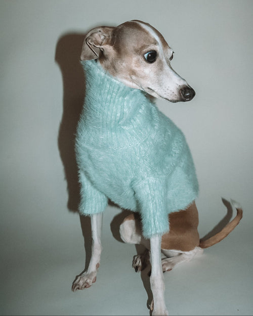 Bobbi Mint Eyelash Knit Dog Sweater