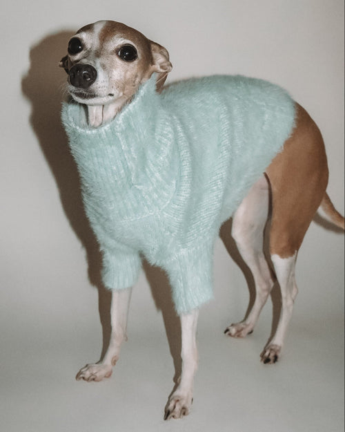 Bobbi Mint Eyelash Knit Dog Sweater