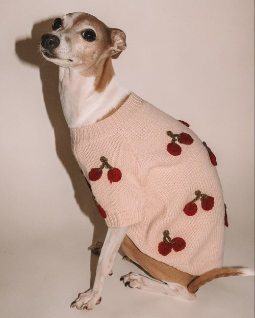 Mon Chéri Blush Cherry Dog Sweater