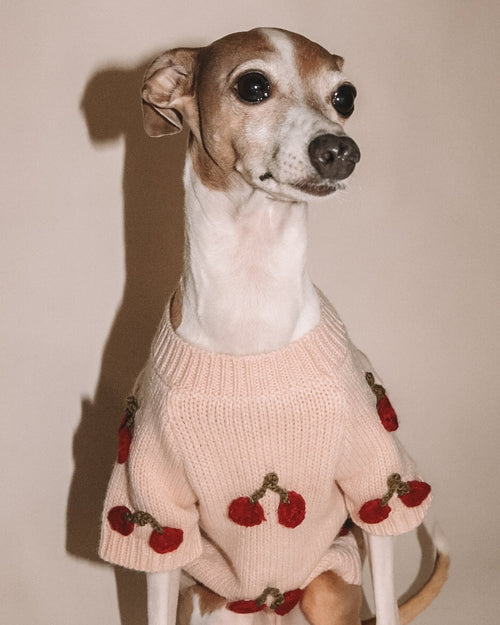 Mon Chéri Blush Cherry Dog Sweater