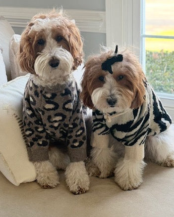 Big Roar Leopard Crewneck Dog Sweater