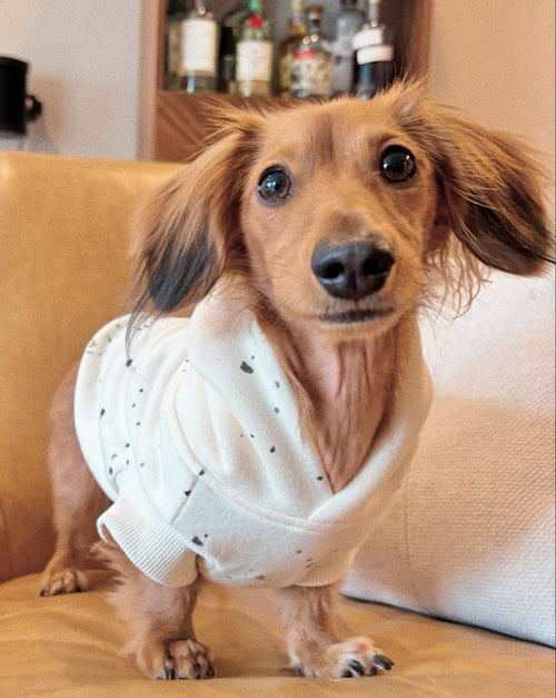 Bradley Ivory Paint Splatter Short Sleeve Dog Hoodie