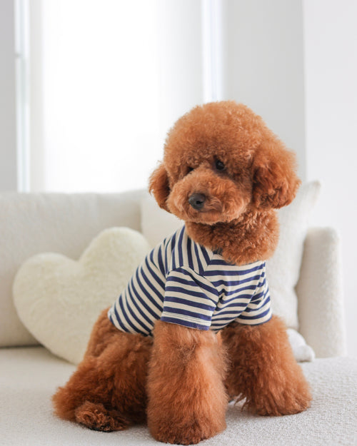 Playful Pooch Navy + Ivory Striped Dog T-Shirt