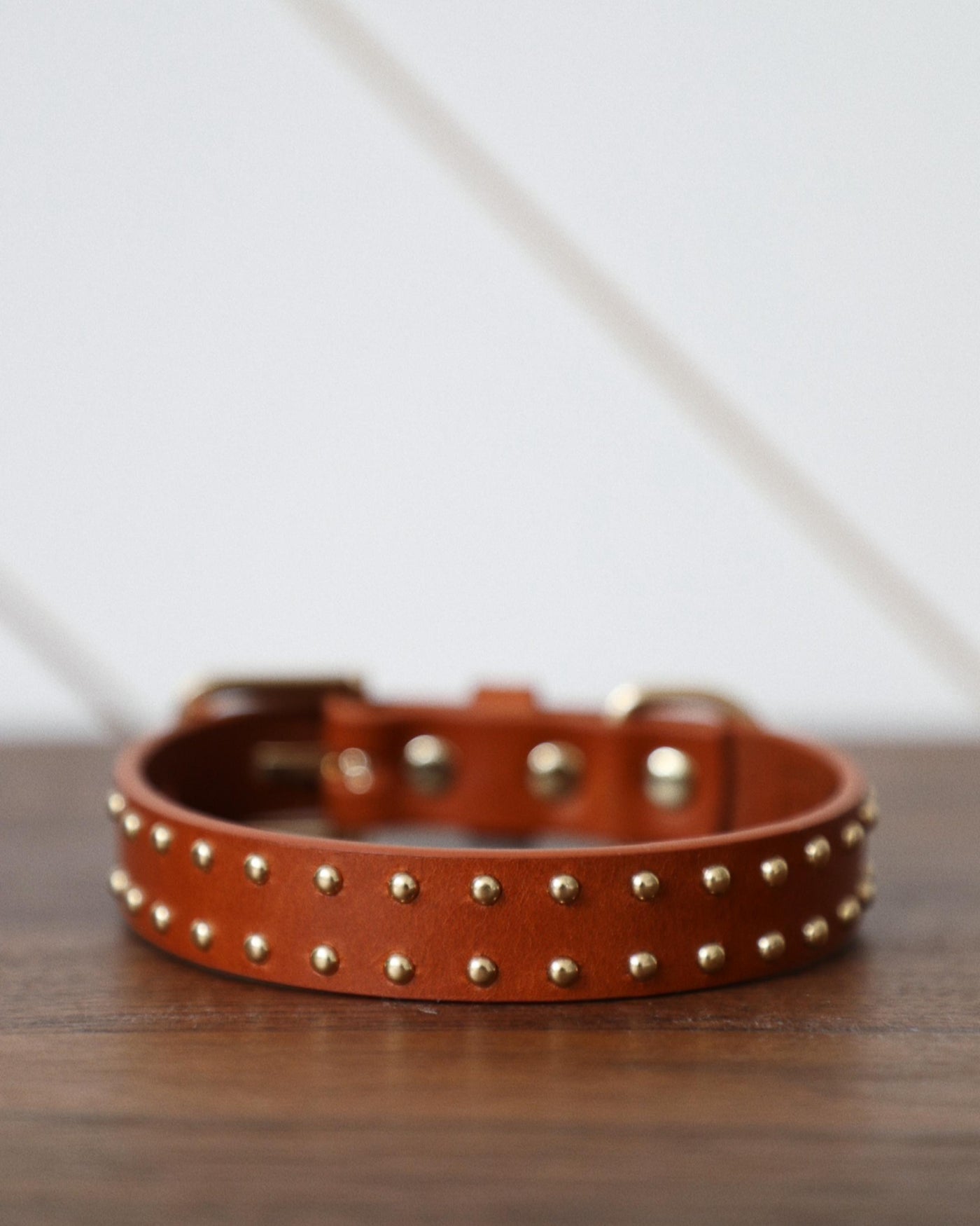 What a Stud Tan Leather Dog Collar