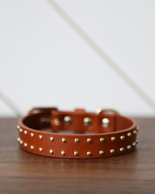 Tan leather dog collar and leash displayed on white background, highlighting premium craftsmanship and elegant pet fashion